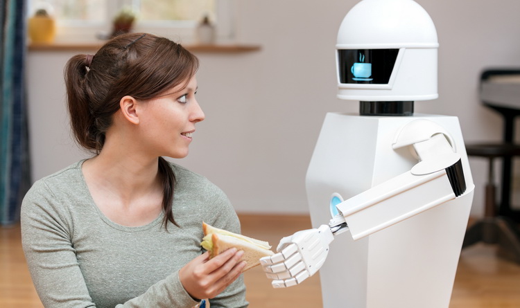 Consumer robot